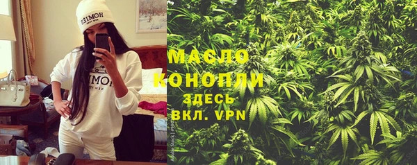 гидра Мегион