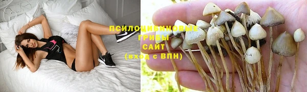 ГАЛЛЮЦИНОГЕННЫЕ ГРИБЫ Медногорск