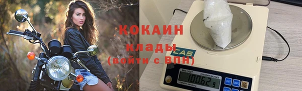 крисы Медвежьегорск