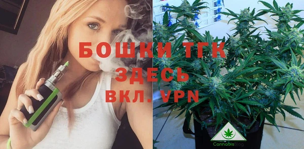 ГАЛЛЮЦИНОГЕННЫЕ ГРИБЫ Медногорск