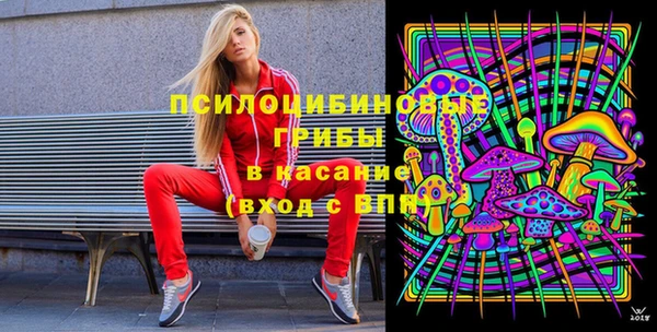 гидра Мегион