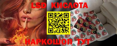 PSILOCYBIN Ирбит