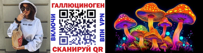 нарко площадка как зайти  Георгиевск  Псилоцибиновые грибы GOLDEN TEACHER 