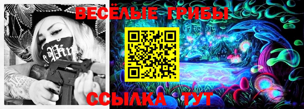 Галлюциногенные грибы прущие грибы Георгиевск